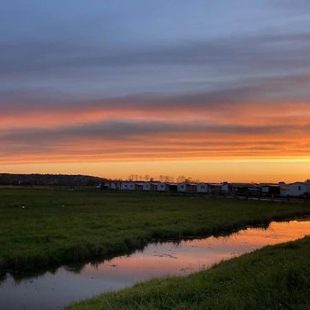 Charmante Maisonnette Proche Plage Et Commerces Blonville-sur-Mer Dış mekan fotoğraf